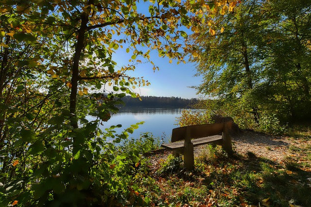 身的战略独 身的战略独