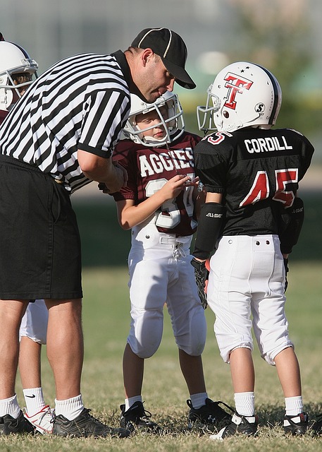 他们过去曾 他们过去曾