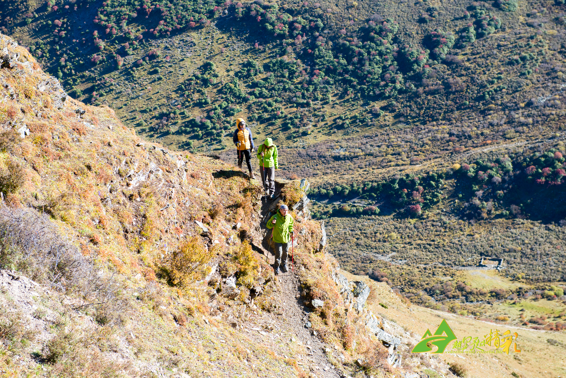 不可分的 不可分的