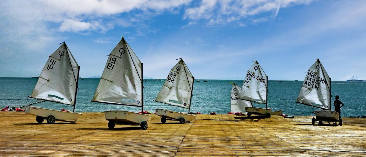 的资源分配 的资源分配